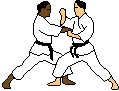 kumi-karate.gif