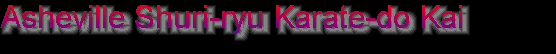 shurishoreikaratewnc011036.gif